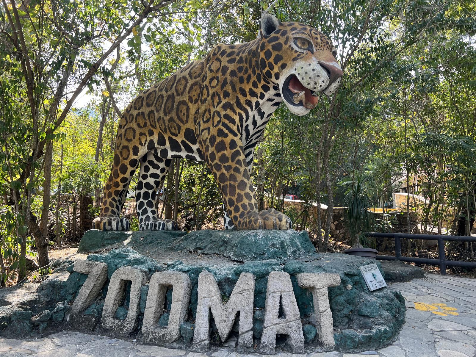 zoomat